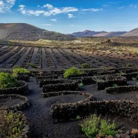Teno فيلة يايثا
